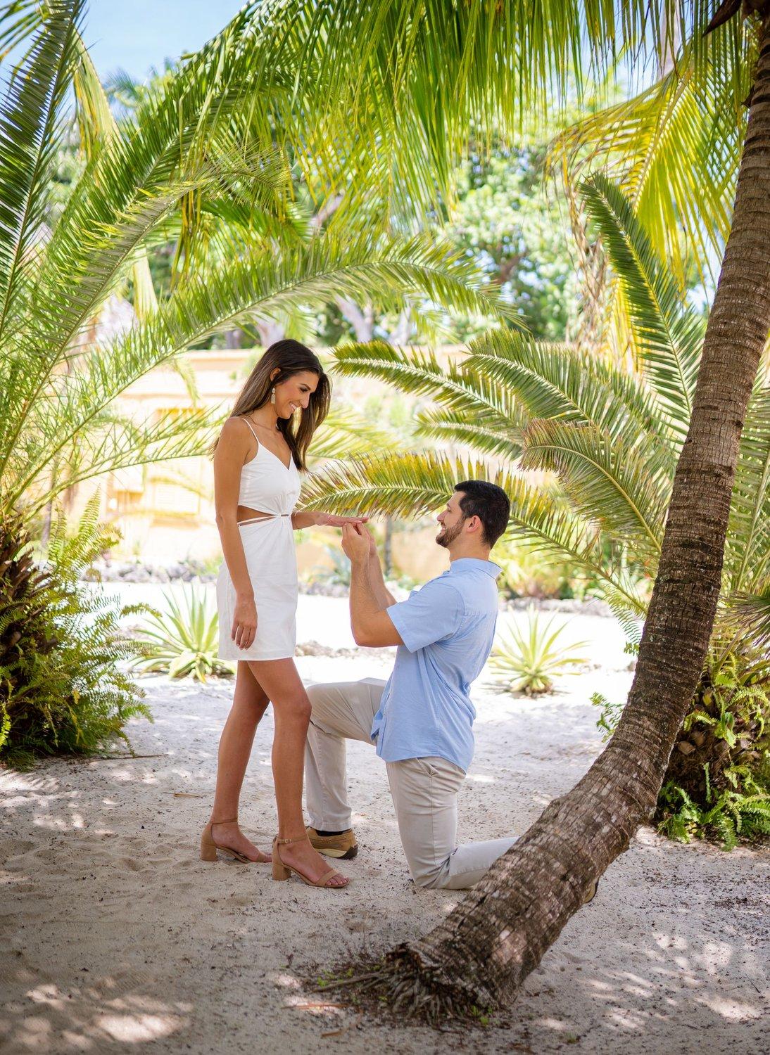 carousel-hero-element image-0